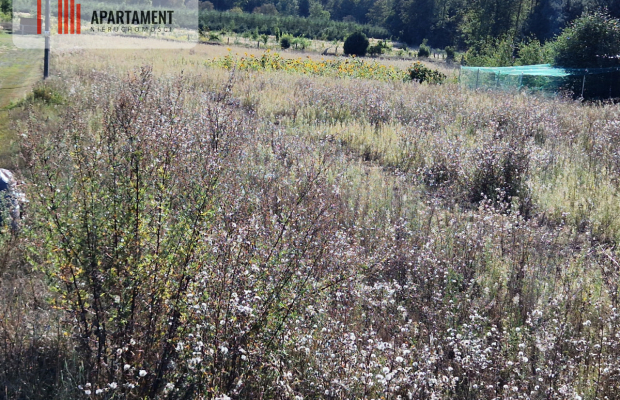 Działka z pozwoleniem na budowę blisko lasu