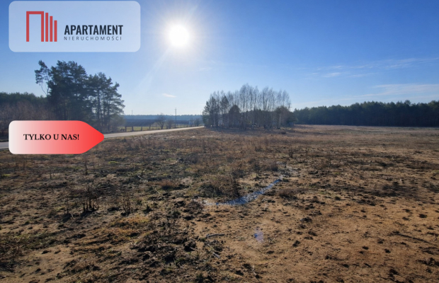 TYLKO U NAS! Działka budowlana z młodymi brzózkami