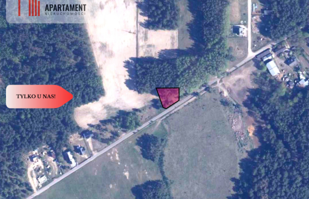 TYLKO U NAS! Działka budowlana z młodymi brzózkami