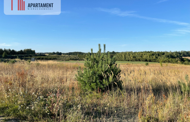 SPRZEDAM DWIE DZIAŁKI BUDOWLANE -ŚWIETNA LOKALIZA!