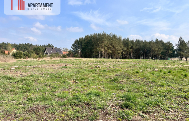 Działki Zabagno, blisko autostradyA1 do negocjacji