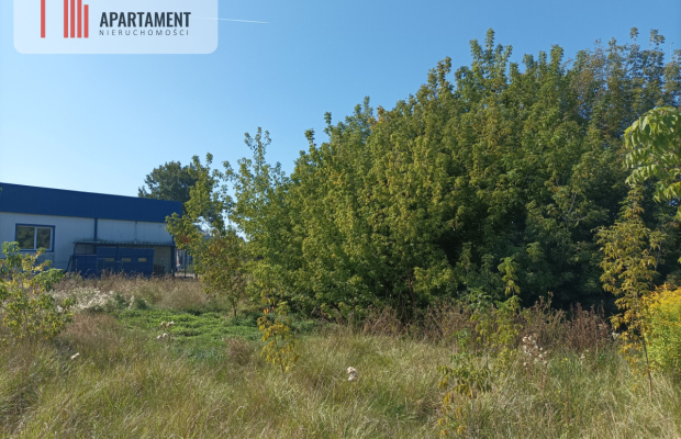 Działka inwestycyjna z potencjałem!