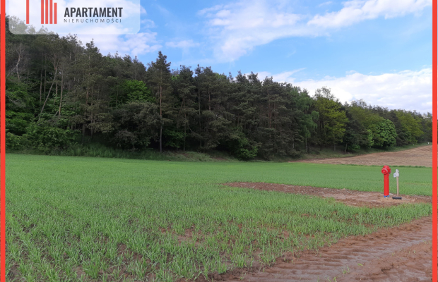 Atrakcyjne działki budowlane w Załachowie!