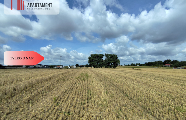 Działka z warunkami zabudowy, blisko Więcborka!