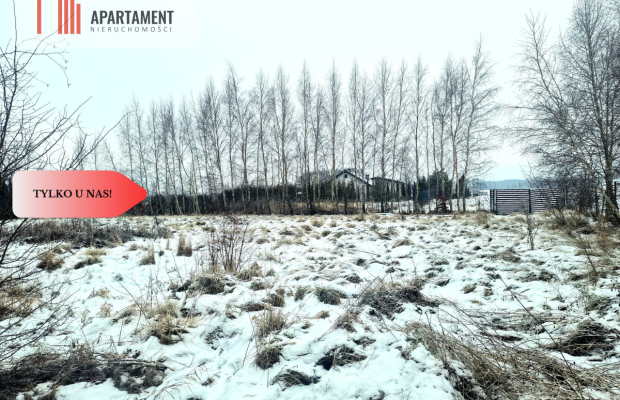 Linia brzegowa jeziora! Własny pomost!