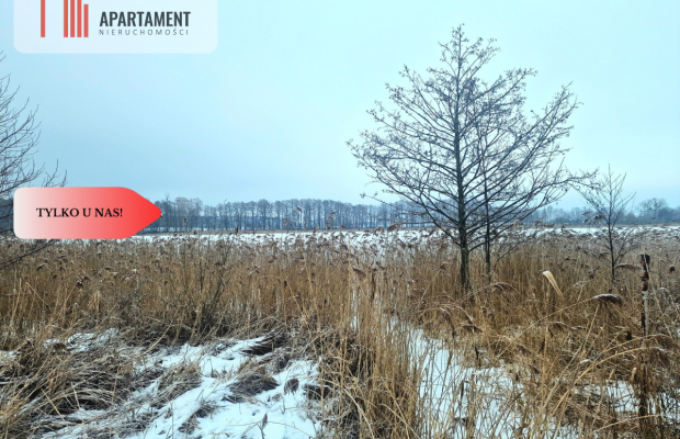 Linia brzegowa jeziora! Własny pomost!