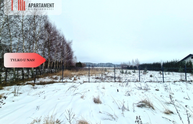 Linia brzegowa jeziora! Własny pomost!