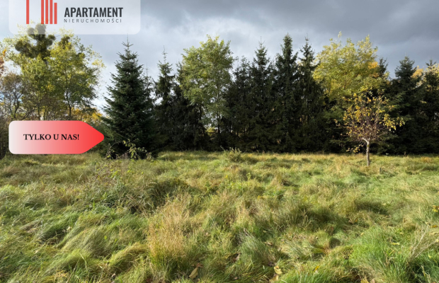 Atrakcyjna działka budowlana w Jagodowie