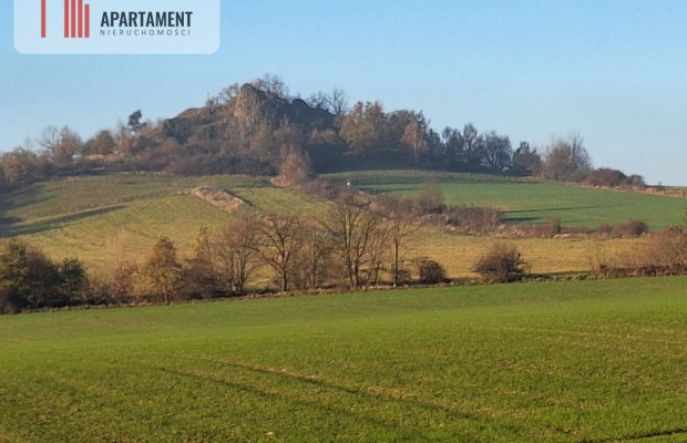 Działka rolna w cichej okolicy!