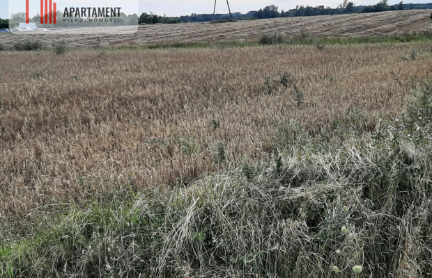 Okazja! Ostatnia działka budowlana w niskiej cenie