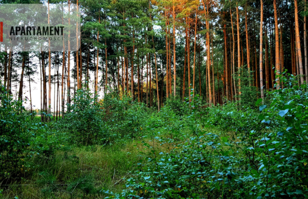 Tylko u nas! Działka pod lasem!