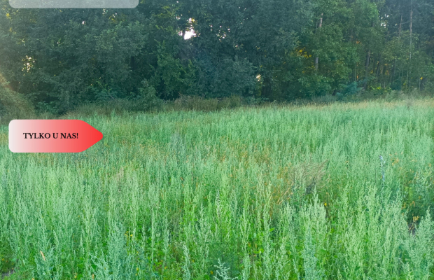 TYLKO U NAS !!! ATRAKCYJNA JEDNA Z OSTATNICH