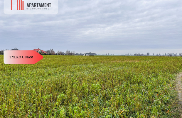 Tylko u nas! Działka 0,55 ha Łubianka k. jeziora