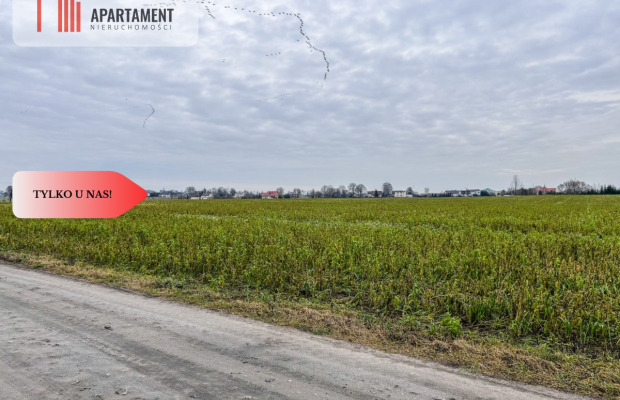 Tylko u nas! Działka 0,55 ha Łubianka k. jeziora