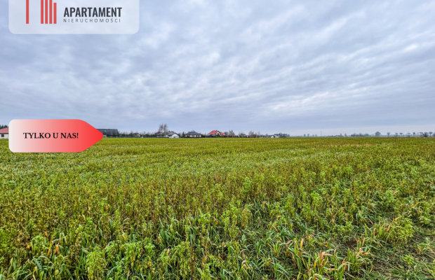 Tylko u nas! Działka 0,55 ha Łubianka k. jeziora