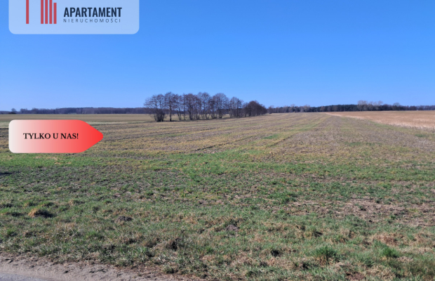 DZIAŁKI MIESZKANIOWO- USŁUGOWE