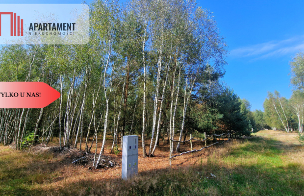 Tylko u Nas! Działki budowlane 15 minut od Gniezna