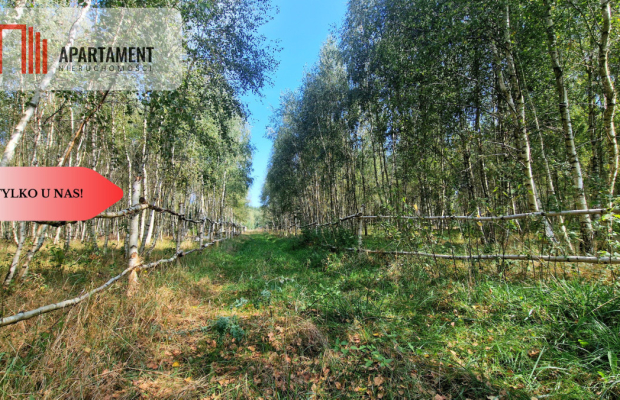 Tylko u Nas! Działki budowlane 15 minut od Gniezna