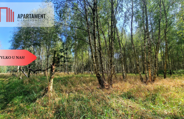 Tylko u Nas! Działki budowlane 15 minut od Gniezna