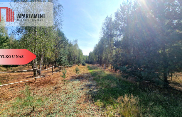 Tylko u Nas! Działki budowlane 15 minut od Gniezna