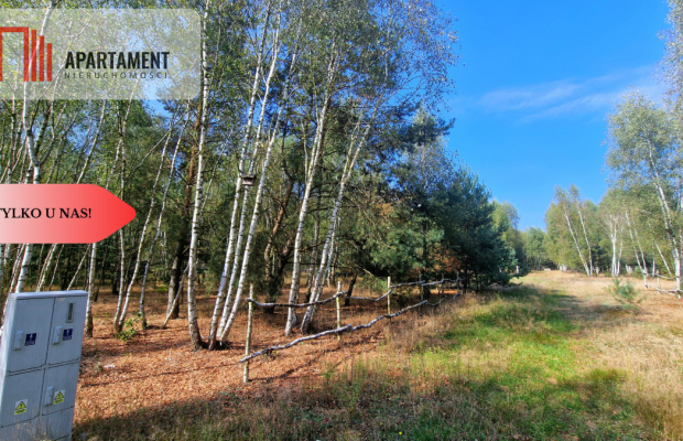 Tylko u Nas! Działki budowlane 15 minut od Gniezna