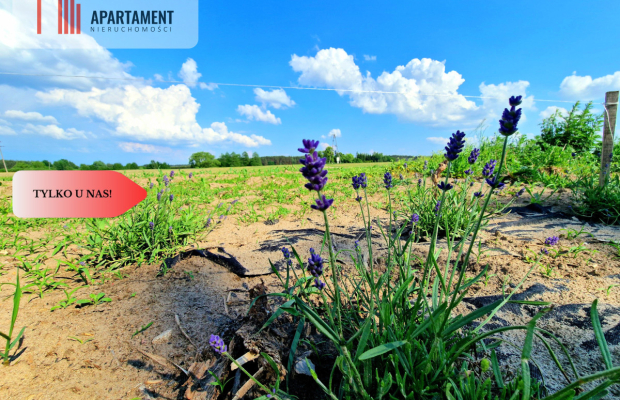 Tylko u Nas! Lawendowa Dolina! Działki na sprzedaż