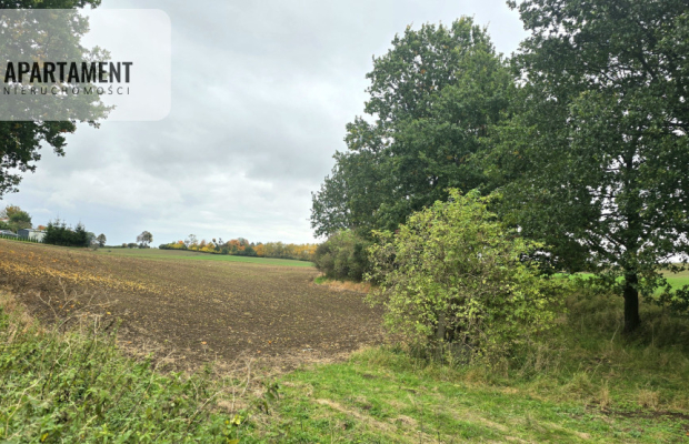 Działka w zielonej okolicy – 3000 m²