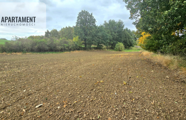 Działka w zielonej okolicy – 3000 m²