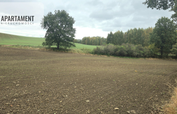 Działka w zielonej okolicy – 3000 m²