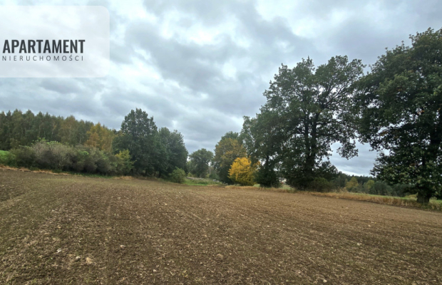 Działka w zielonej okolicy – 3000 m²