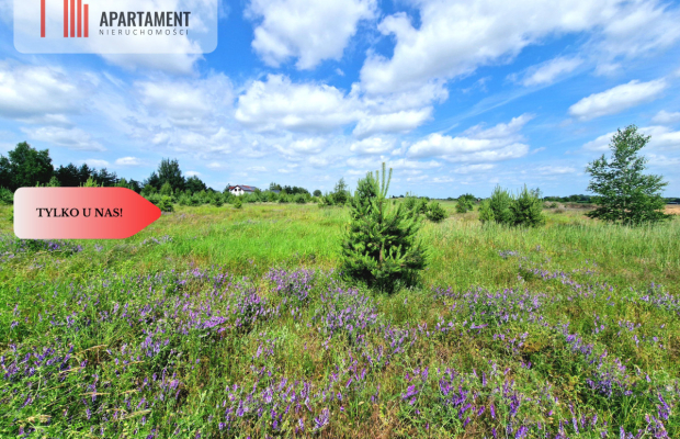 Działka budowlana 800m od jeziora!