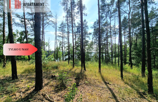 Działka budowlana 800m od jeziora!