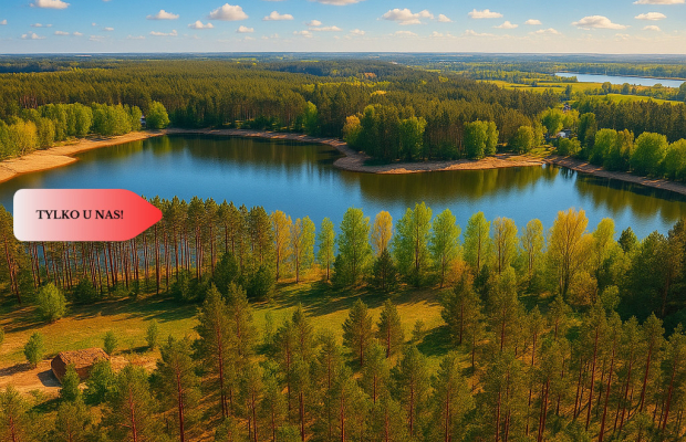 Działki z linią brzegową jeziora pod Toruniem