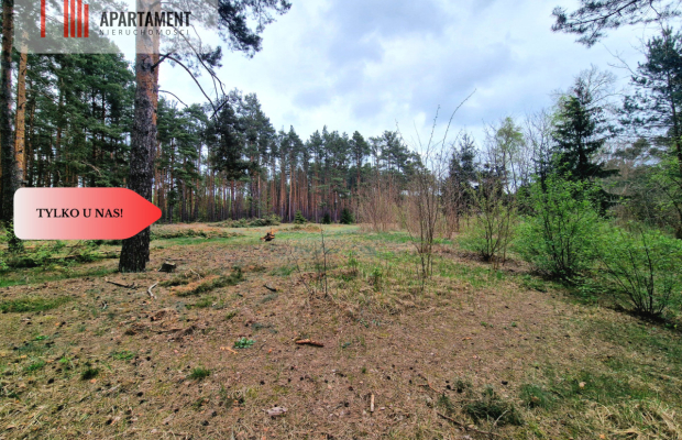 Działki z linią brzegową jeziora pod Toruniem