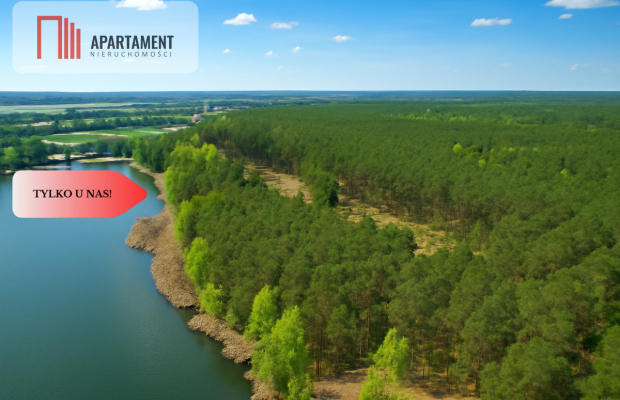 Działki z linią brzegową jeziora pod Toruniem