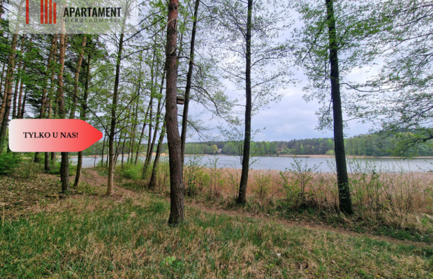 Działki z linią brzegową jeziora pod Toruniem