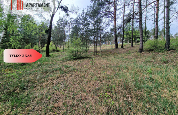 Działki z linią brzegową jeziora pod Toruniem