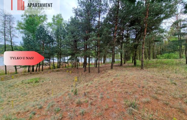 Działki z linią brzegową jeziora pod Toruniem