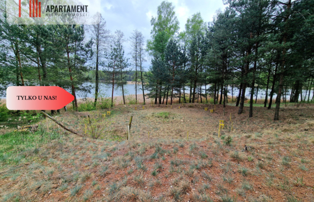 Działki z linią brzegową jeziora pod Toruniem