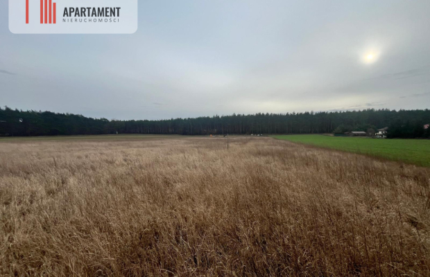 Działki z warunkami zabudowy 1075m2