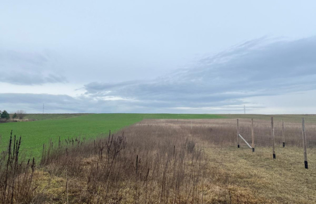 Działki z warunkami zabudowy 1075m2