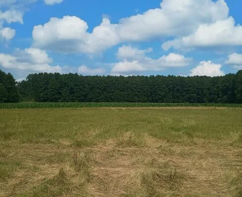 Piękna działka na Mazurach | 500m do jeziora