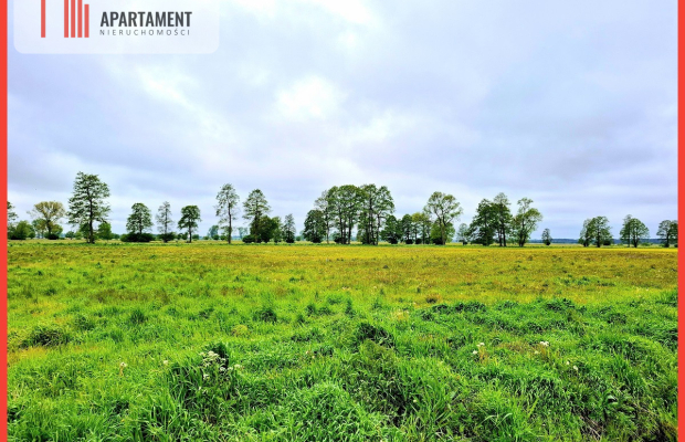 Dziemionna 1440 m2 z warunkami zabudowy