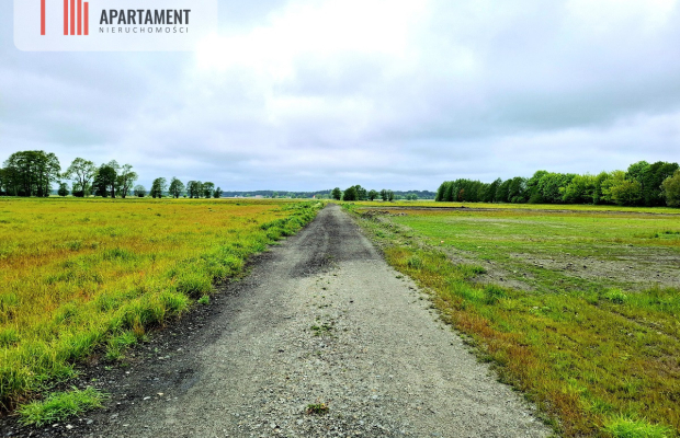 Dziemionna 1440 m2 z warunkami zabudowy