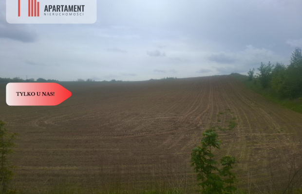 TYLKO U NAS !!! ATRAKCYJNA BLISKO CHEŁMNA