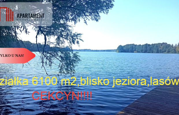 Działka Cekcyn obok lasu, jezior ,budowlana !