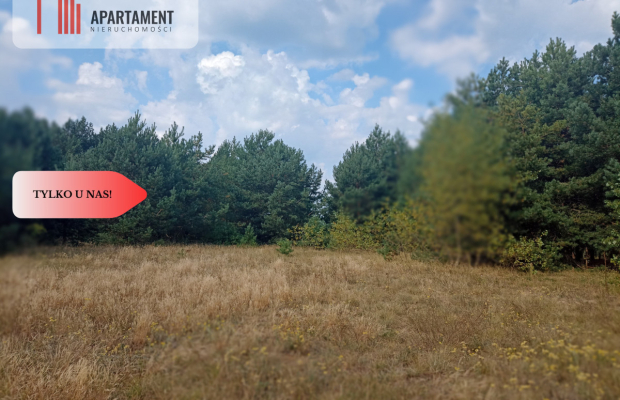 Działka Cekcyn obok lasu, jezior ,budowlana !