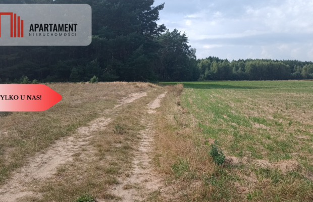 Działka Cekcyn obok lasu, jezior ,budowlana !