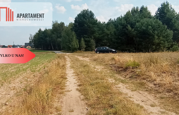 Działka Cekcyn obok lasu, jezior ,budowlana !