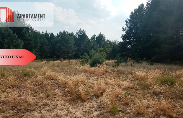 Działka Cekcyn obok lasu, jezior ,budowlana !